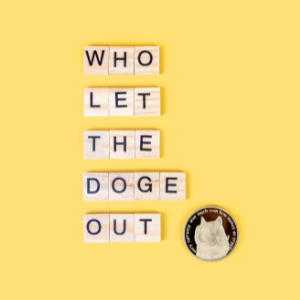 doge coin