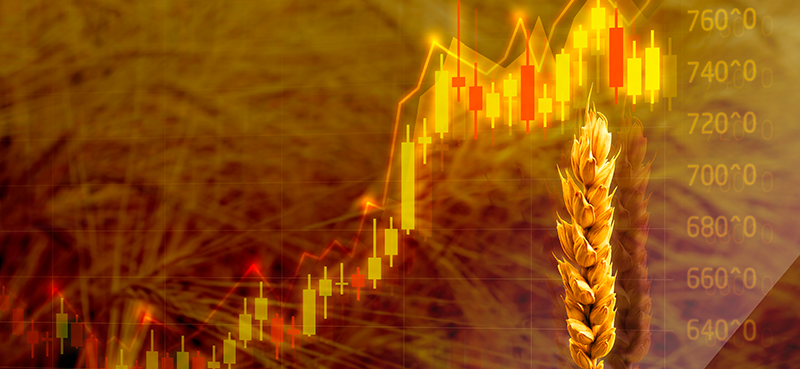 rising food prices