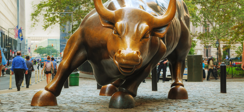 bull market